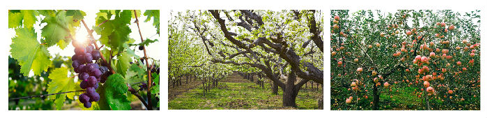 QUG56R3AX9QDWTVPUJBR27 QUG56R3AX9QDWTVPUJBR27