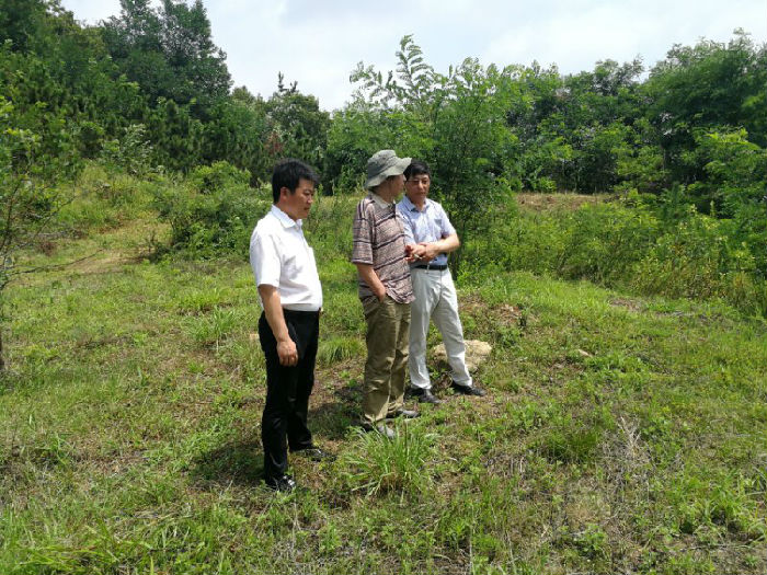 VRR12G34ZCHWV7QYNDU028 VRR12G34ZCHWV7QYNDU028